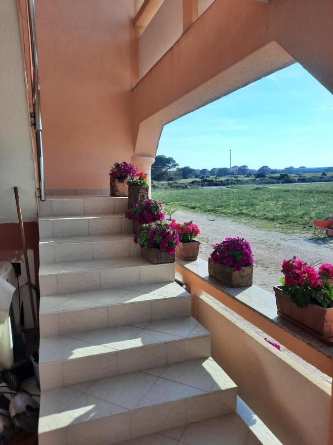 Penzion u Kapitána Vir Exterior foto